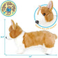 CORGI PLUSH