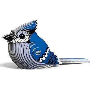 EUGY BLUE JAY