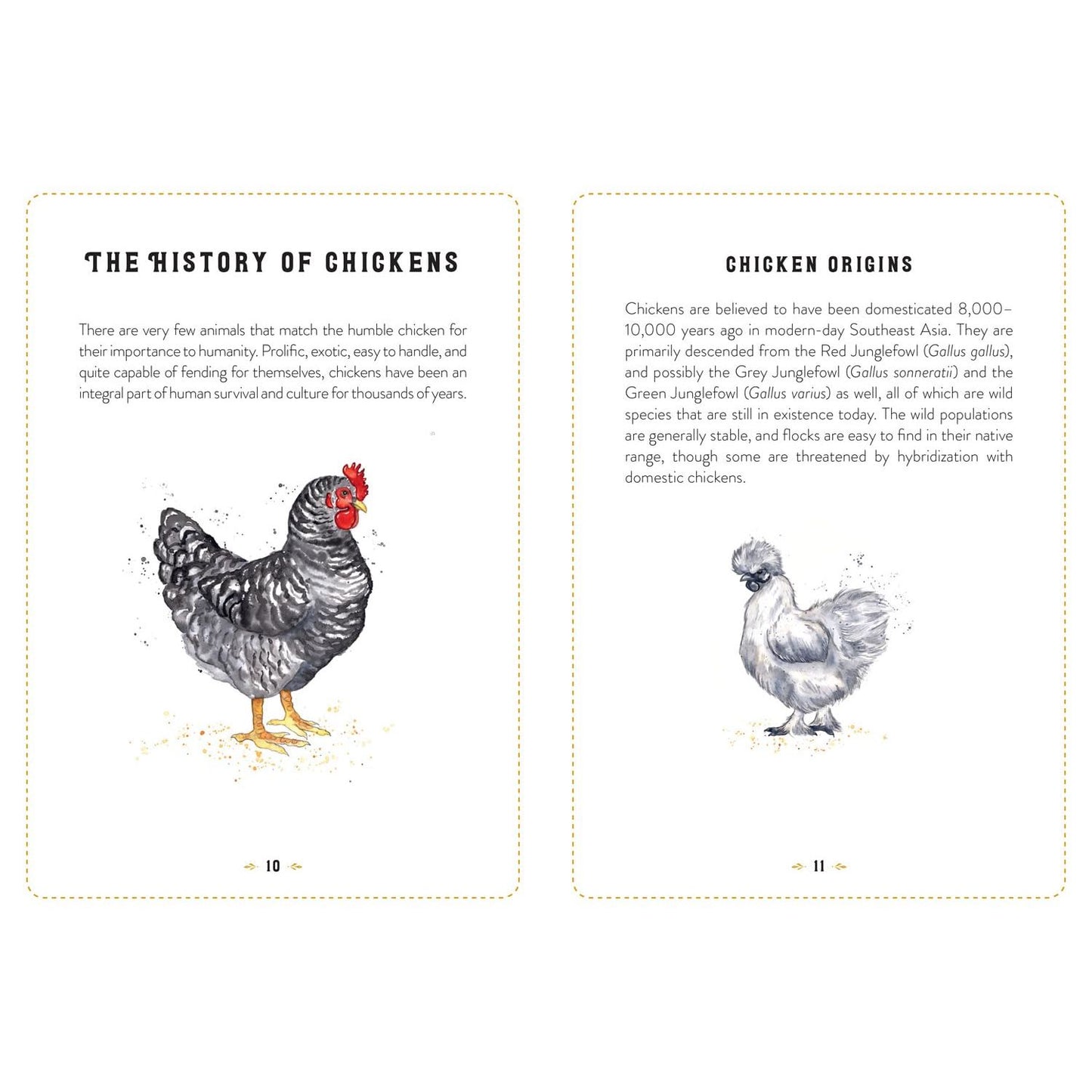 THE LITTLE BOOK OF CHICKENS: AN ILLUSTRATED GUIDE TO THE EXTRAORDINARY LIVES OF CHICKENS BY JESSICA FORD