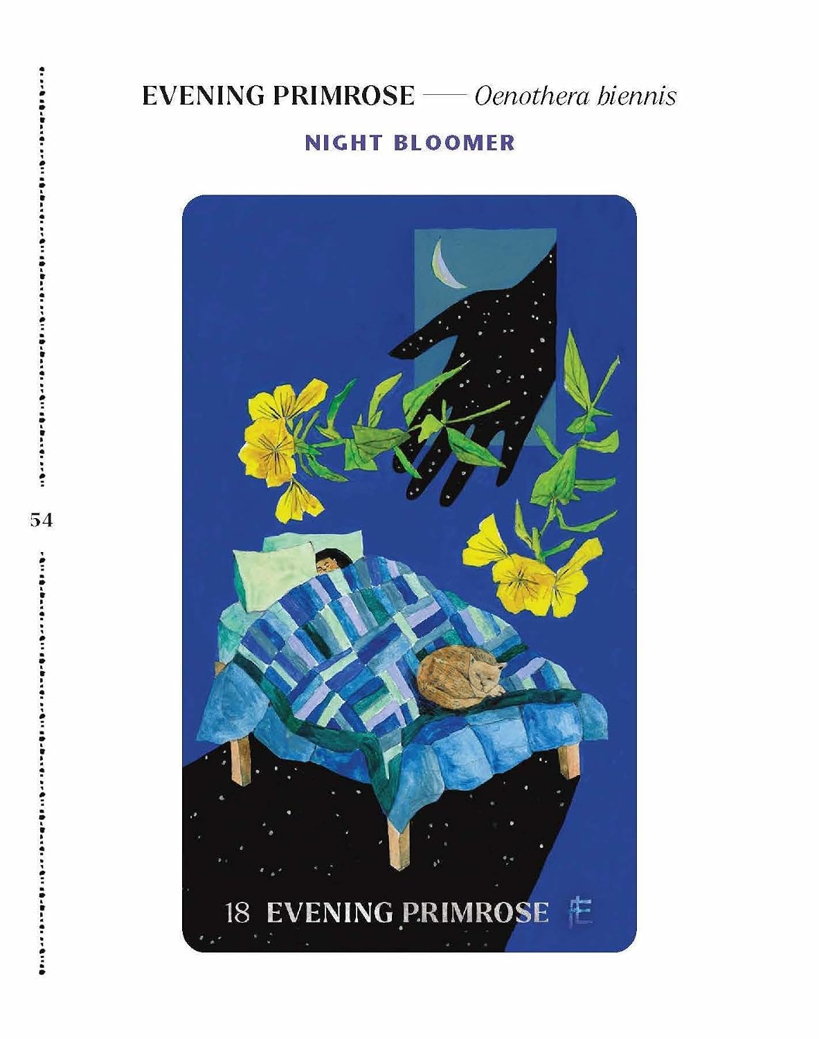 DIRT GEMS: PLANT ORACLE DECK AND GUIDEBOOK BY ANNE LOUISE BURDETTE, ILLUSTRATED BY CHELSEA GRANGER