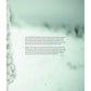 MOTHMEISTER: SINISTER AND SPIRITUAL POST-MORTEM FAIRY TALES