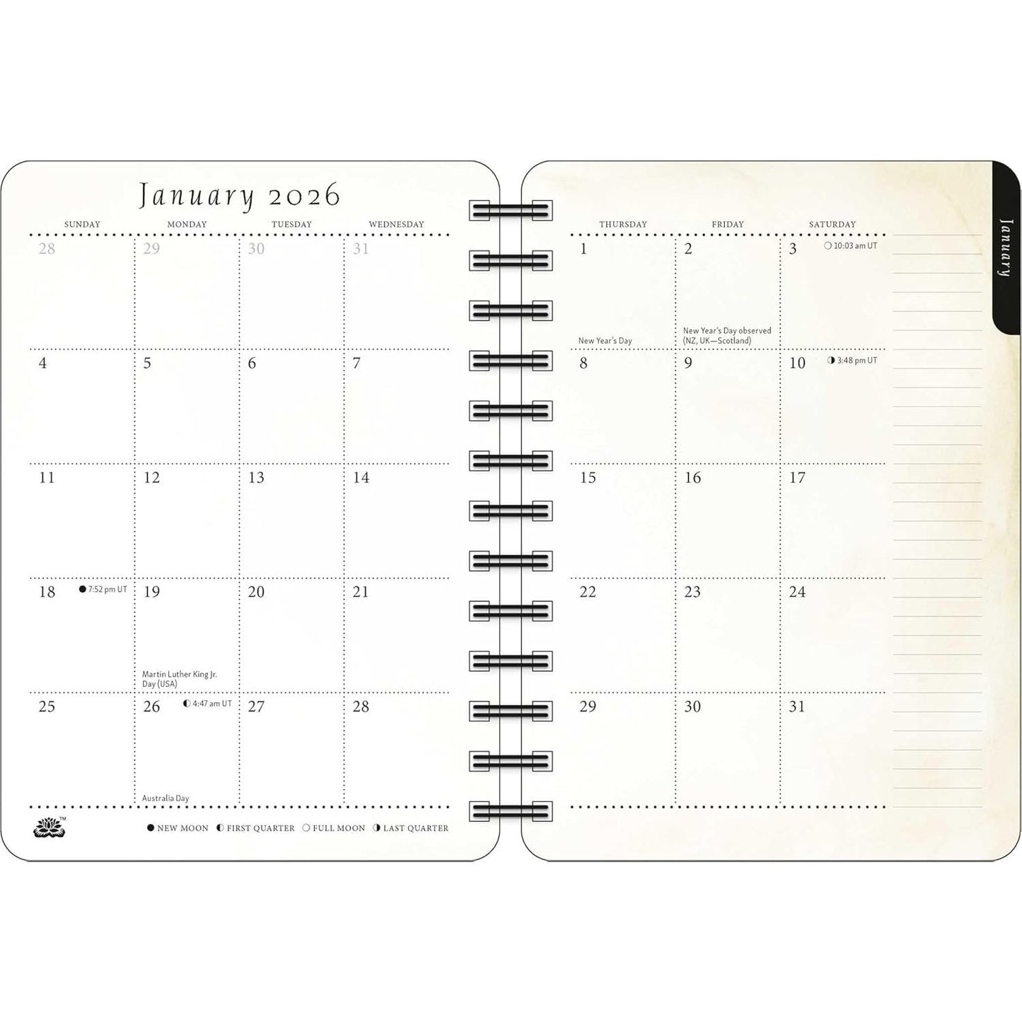 THE ARTFUL CAT 2026 DAILY PLANNER