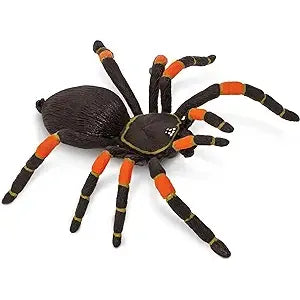 ORANGE KNEED TARANTULA