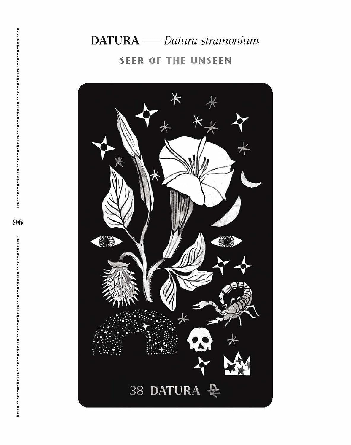 DIRT GEMS: PLANT ORACLE DECK AND GUIDEBOOK BY ANNE LOUISE BURDETTE, ILLUSTRATED BY CHELSEA GRANGER