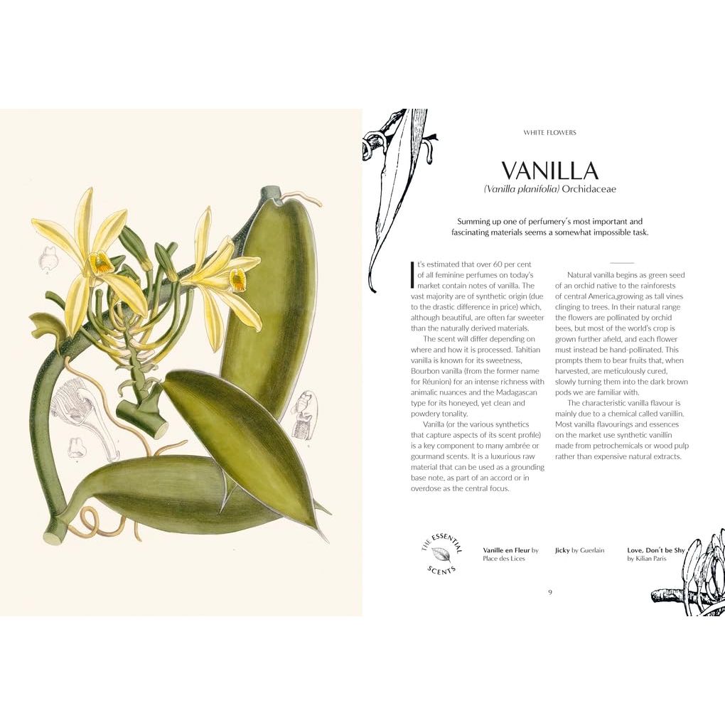 FRAGRANCE: FROM PLANT OT PERFUME- THE BOTANICAL ORIGIN OF SCENT BY JOSH CARTER & SAMUEL GEARING