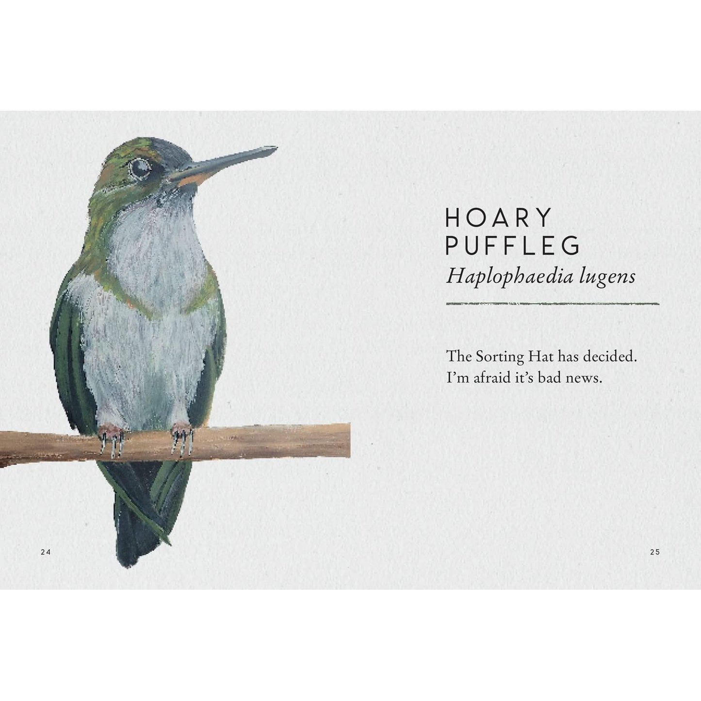 TITS, BOOBIES, AND LOONS BY STU ROYALL