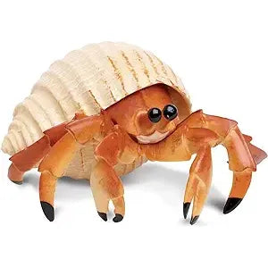 HERMIT CRAB