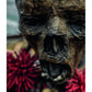 MOTHMEISTER: SINISTER AND SPIRITUAL POST-MORTEM FAIRY TALES