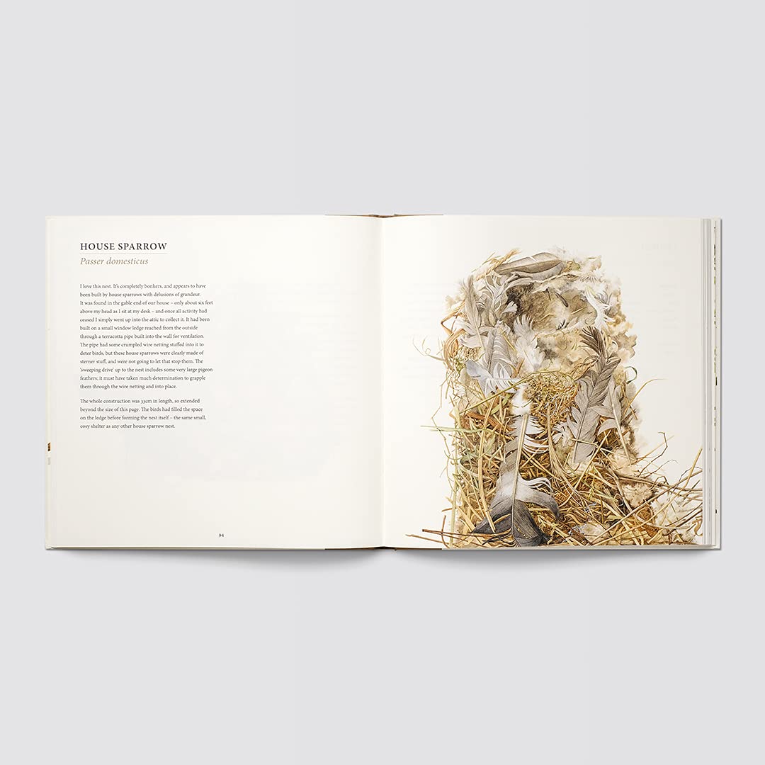 NESTS BY SUSAN OGILVY