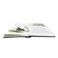 WICKED POP UP BOOK THE STORY OF OZ
