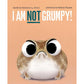 I AM NOT GRUMPY BY CAROLINE L. PERRY, ILLUSTRATED BY SYDNEY HANSON