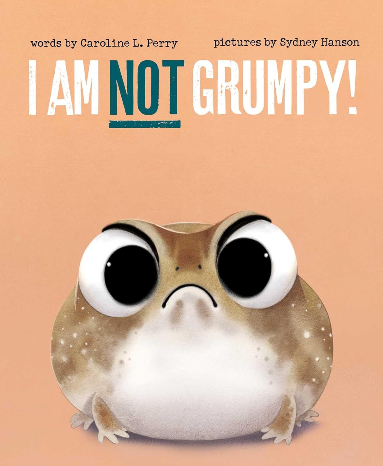 I AM NOT GRUMPY BY CAROLINE L. PERRY, ILLUSTRATED BY SYDNEY HANSON