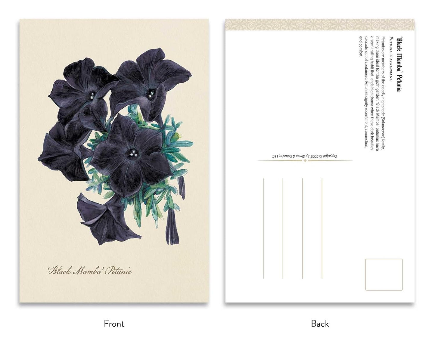 THE GOTH GARDENS: DARK BLOOMS POSTCARDS BY FELICIA FEASTER AND IRINA VINNIK