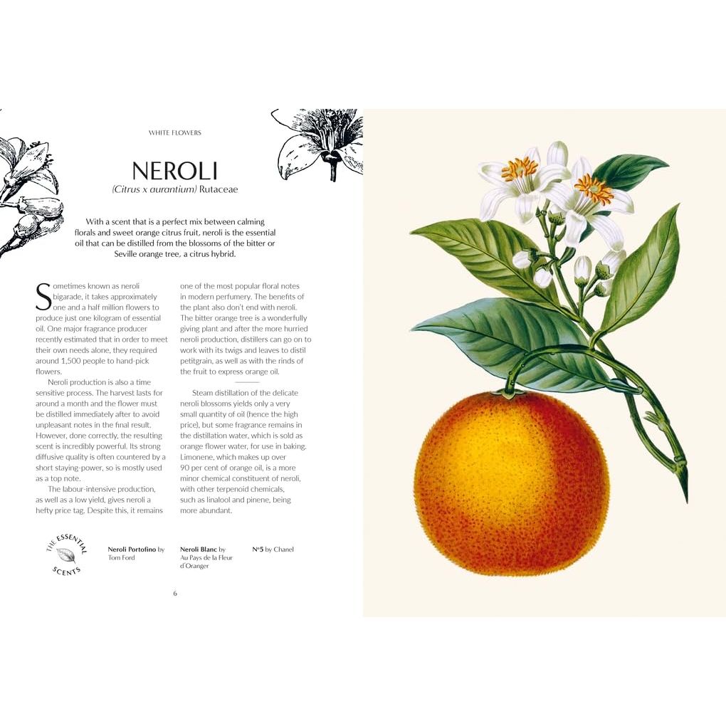 FRAGRANCE: FROM PLANT OT PERFUME- THE BOTANICAL ORIGIN OF SCENT BY JOSH CARTER & SAMUEL GEARING