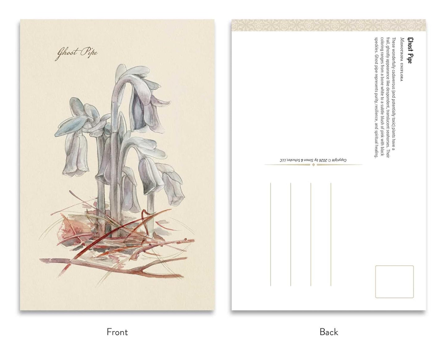 THE GOTH GARDENS: DARK BLOOMS POSTCARDS BY FELICIA FEASTER AND IRINA VINNIK