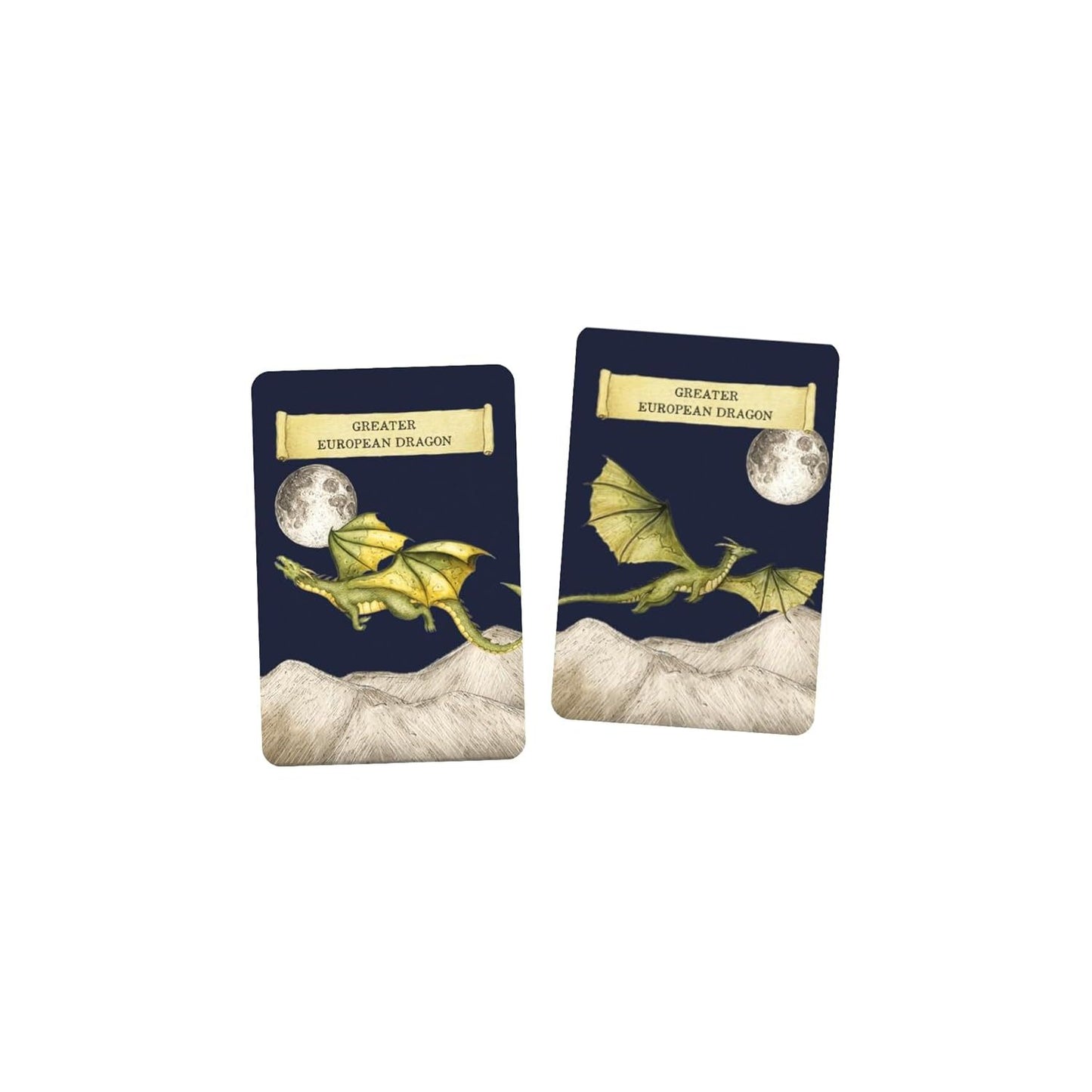 DISCOVER THE DRAGONS: MEMORY GAME ILLUSTRATED BY JESSICA ROUX