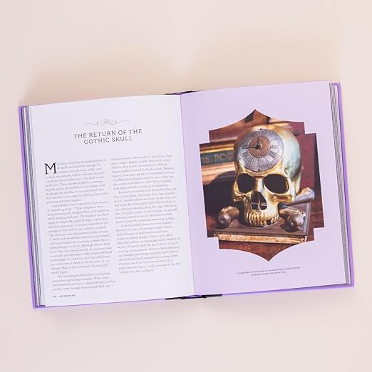BEYOND THE VEIL: THE VICTORIAN OBSESSION WITH DEATH AND MOURNING BY PAUL GAMBINO