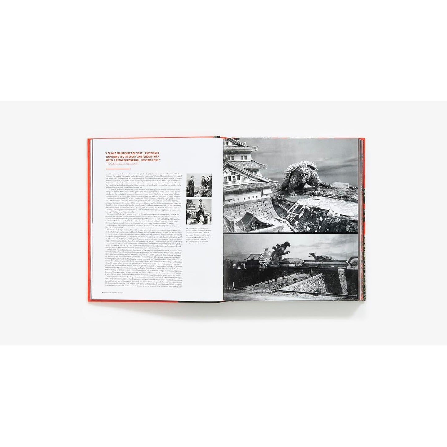 GODZILLA: THE FIRST 50 YEARS BY STEVE RYFLE AND ED GODZISZEWSKI