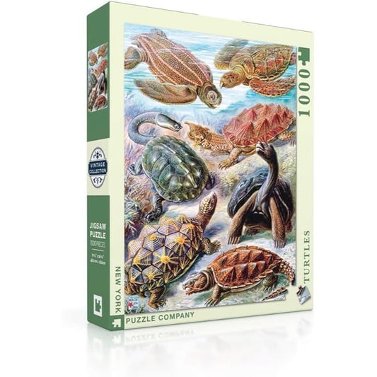 TURTLES 1000PC PUZZLE