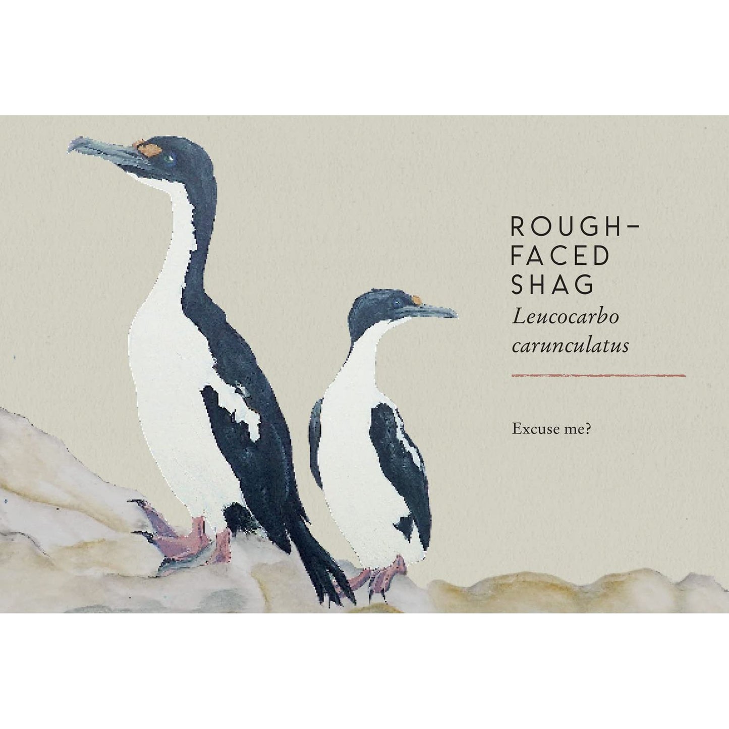 TITS, BOOBIES, AND LOONS BY STU ROYALL