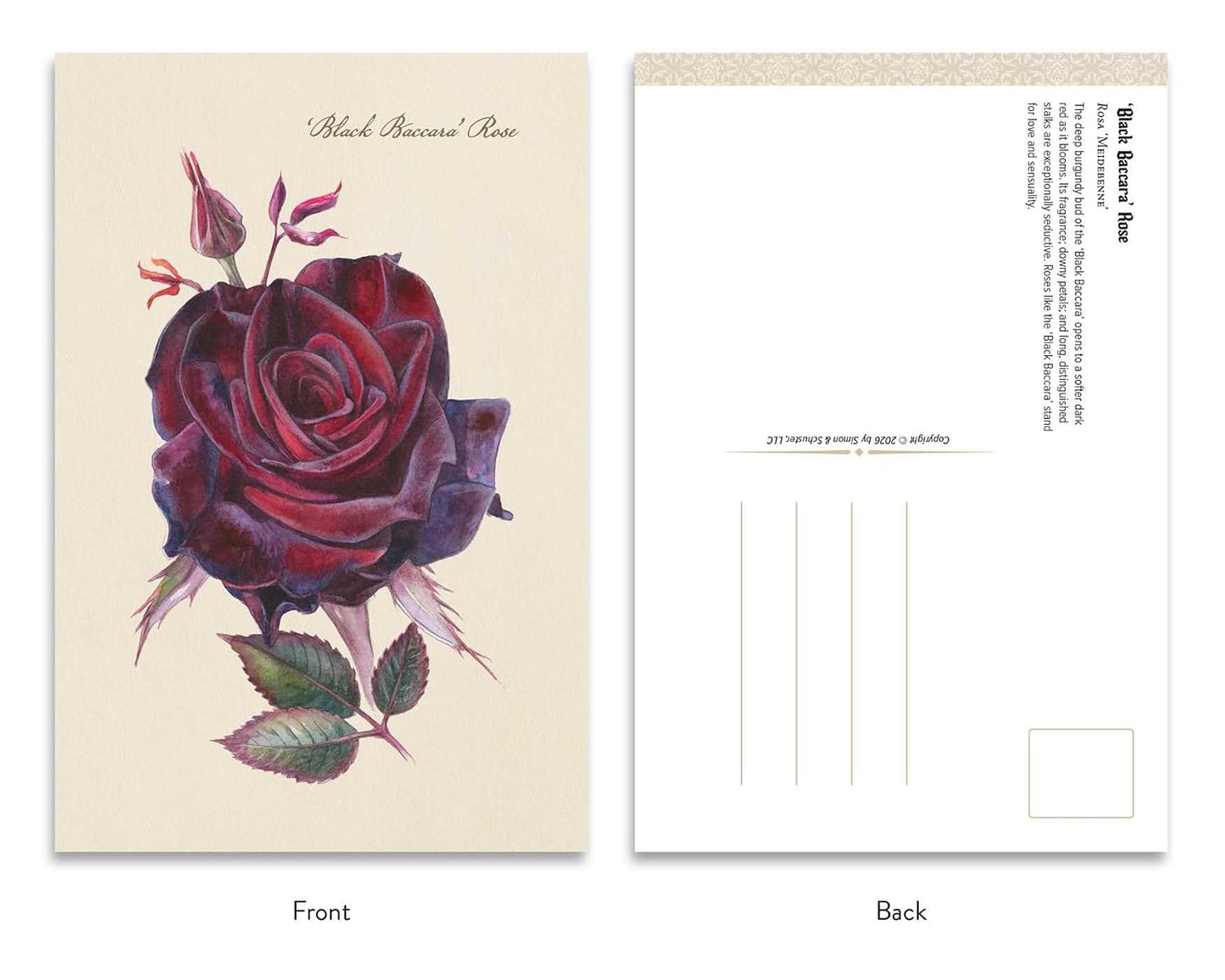 THE GOTH GARDENS: DARK BLOOMS POSTCARDS BY FELICIA FEASTER AND IRINA VINNIK