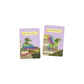 DISCOVER THE DRAGONS: MEMORY GAME ILLUSTRATED BY JESSICA ROUX