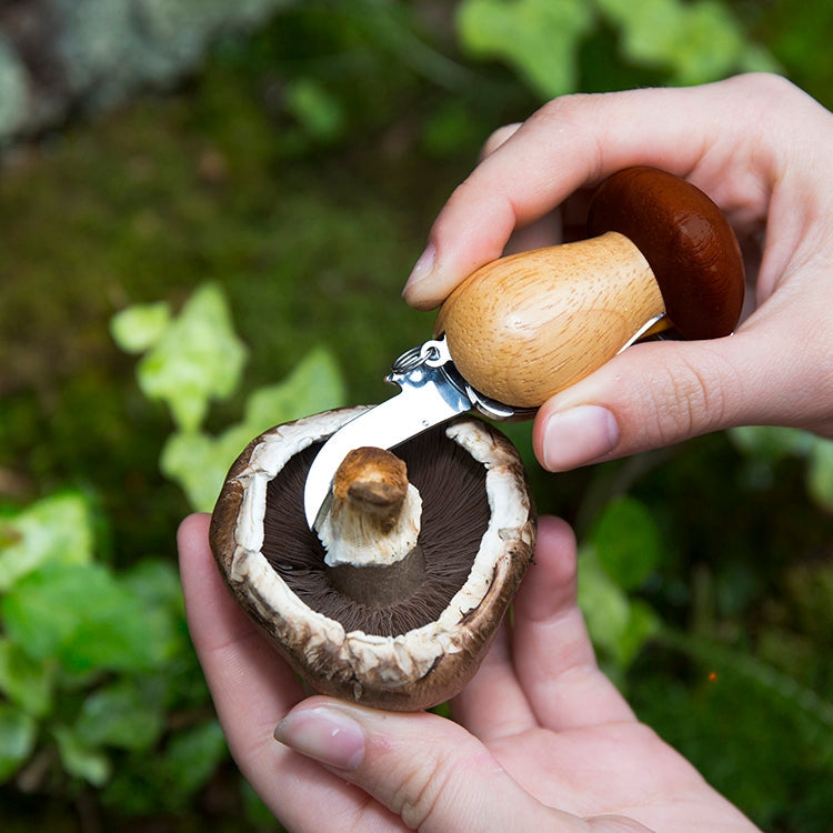 MUSHROOM FORAGING TOOL KEYCHAIN