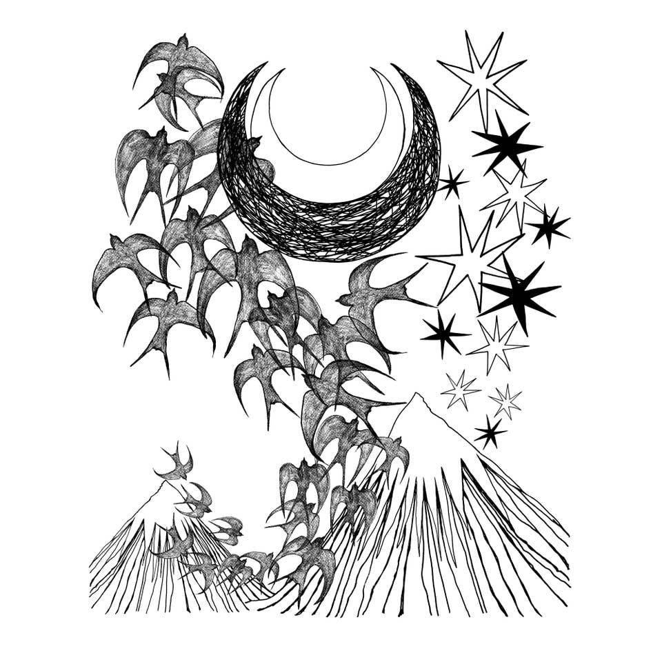 NIGHT FLIGHT CLOVER CROP TEE BY SUPERMAGGIE