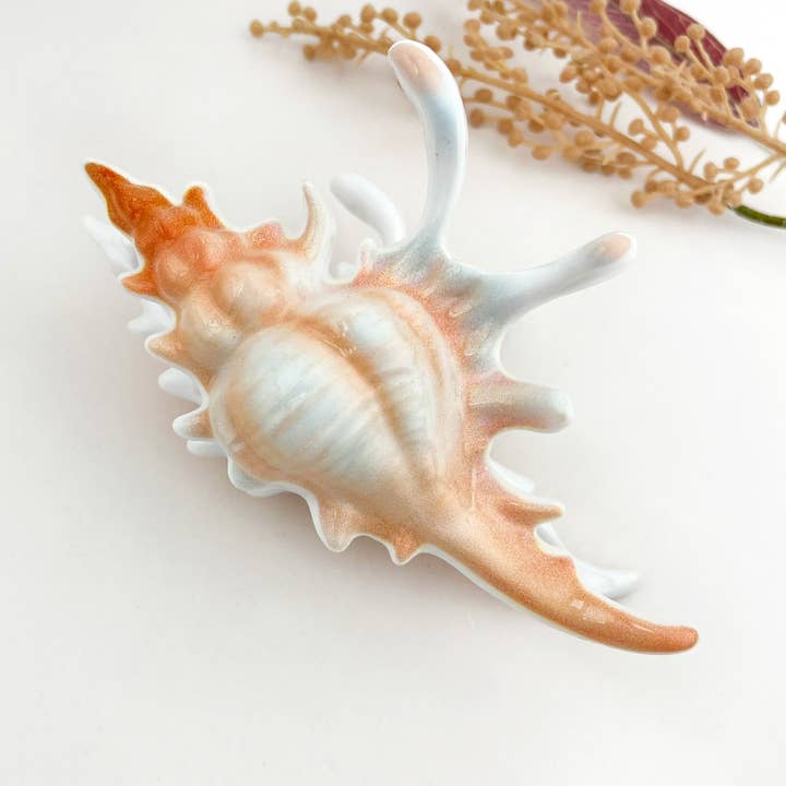 SEASHELL HAIR CLAW