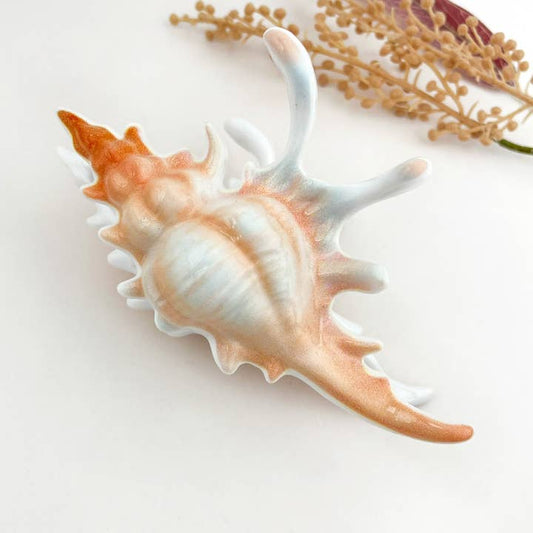 SEASHELL HAIR CLAW