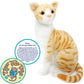 ORANGE TABBY CAT PLUSH
