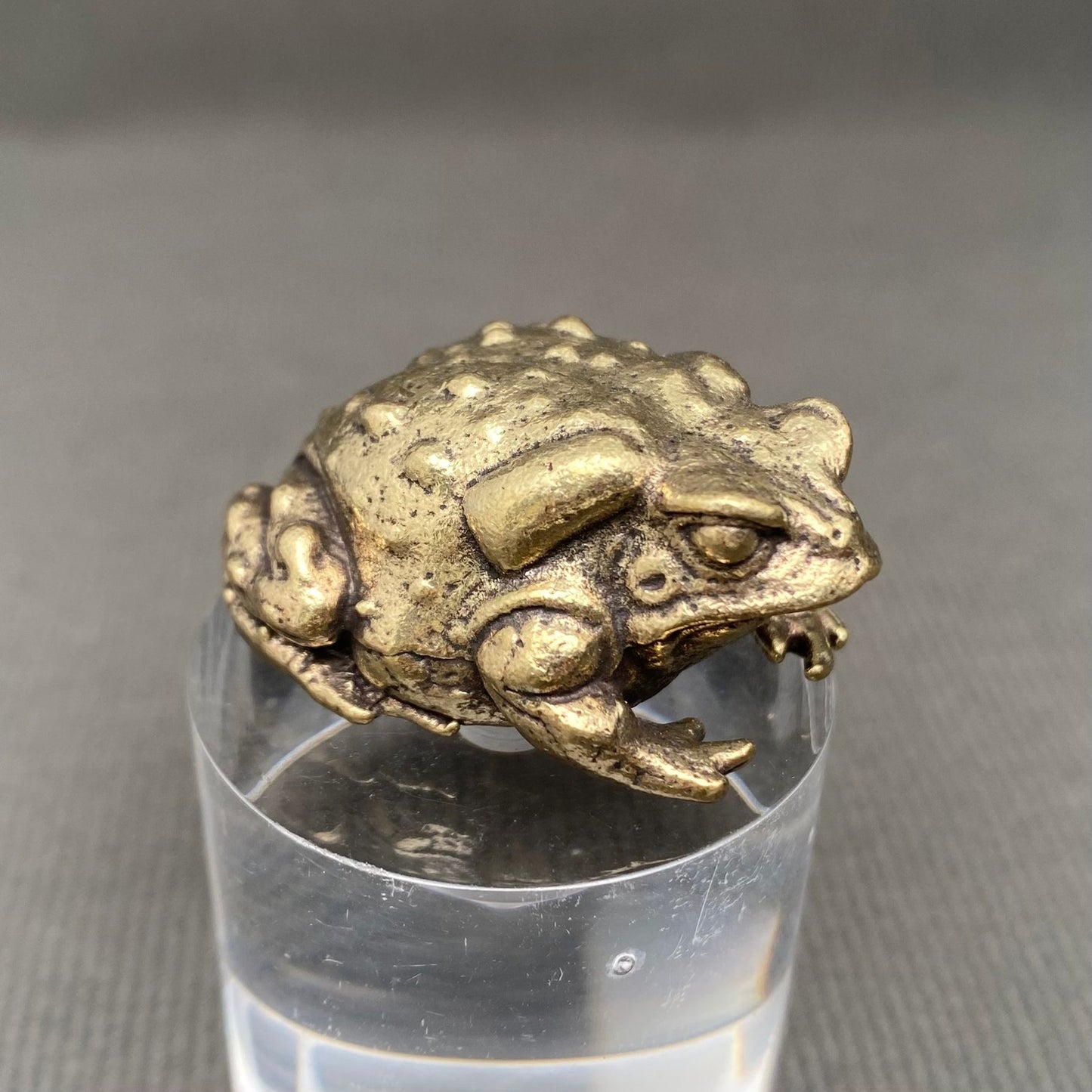 MINIATURE BRASS TOAD