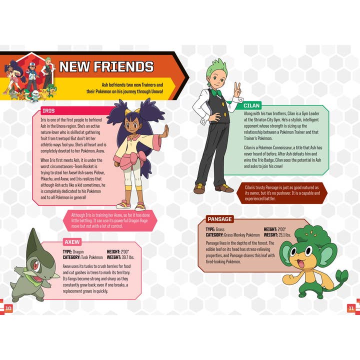 POKEMON: CATCH TEPIG! LOOK AND LISTEN SET