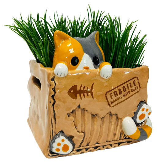 CAT IN THE BOX PLANTER