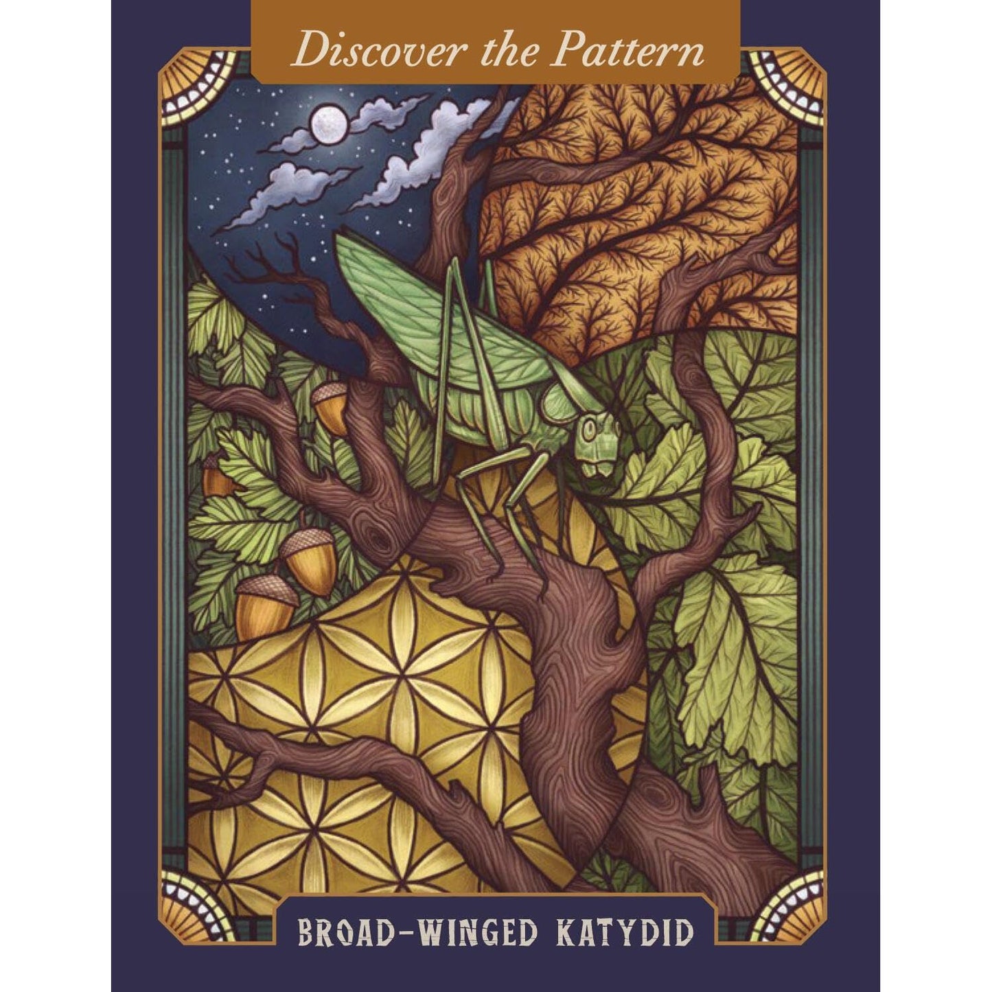 THE ILLUSTRATED BESTIARY ORACLE CARDS BY MAIA TOLL