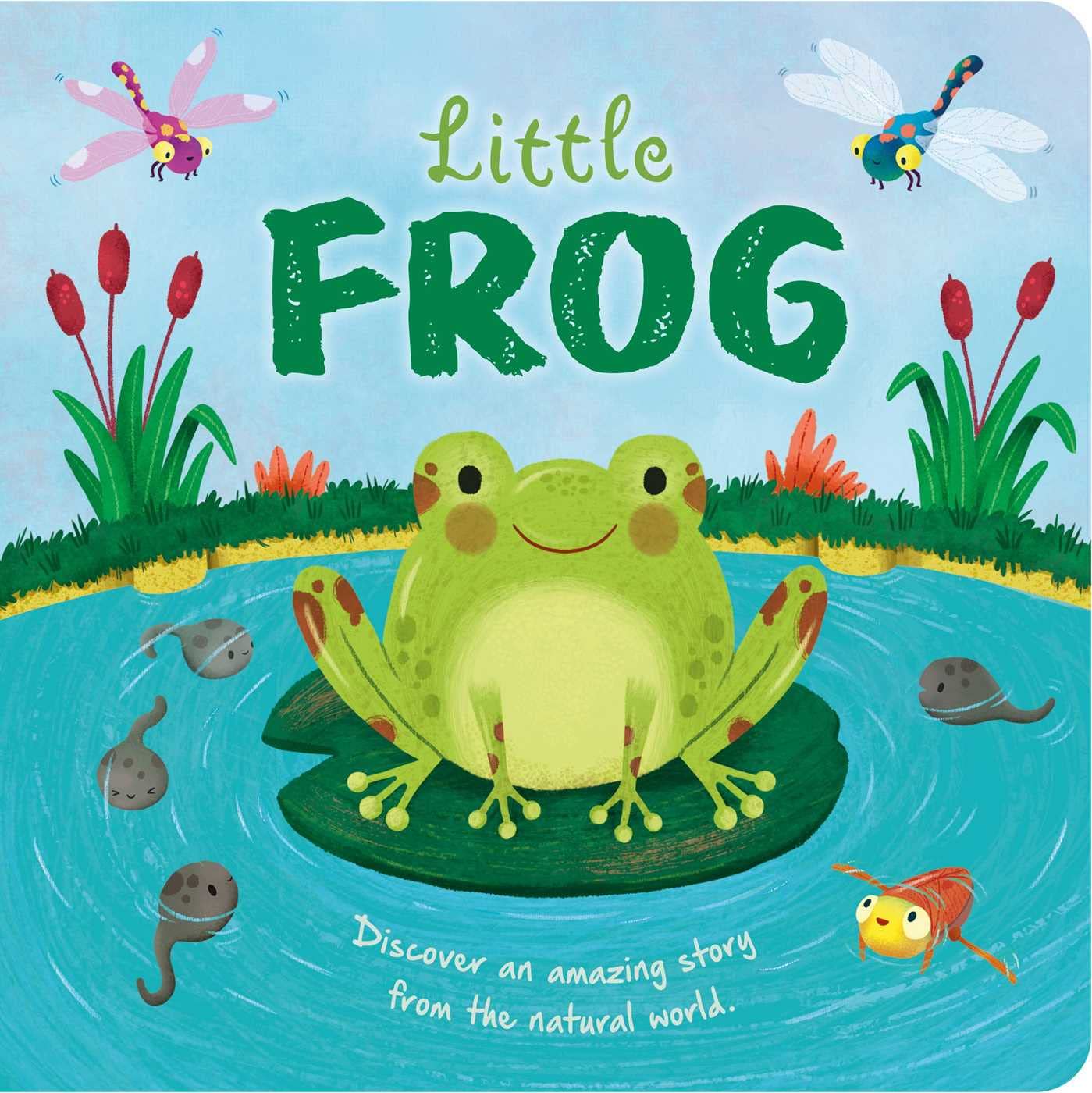 NATURE STORIES: LITTLE FROG BY IGLOOBOOKS AND GISELA BOHÓRQUEZ