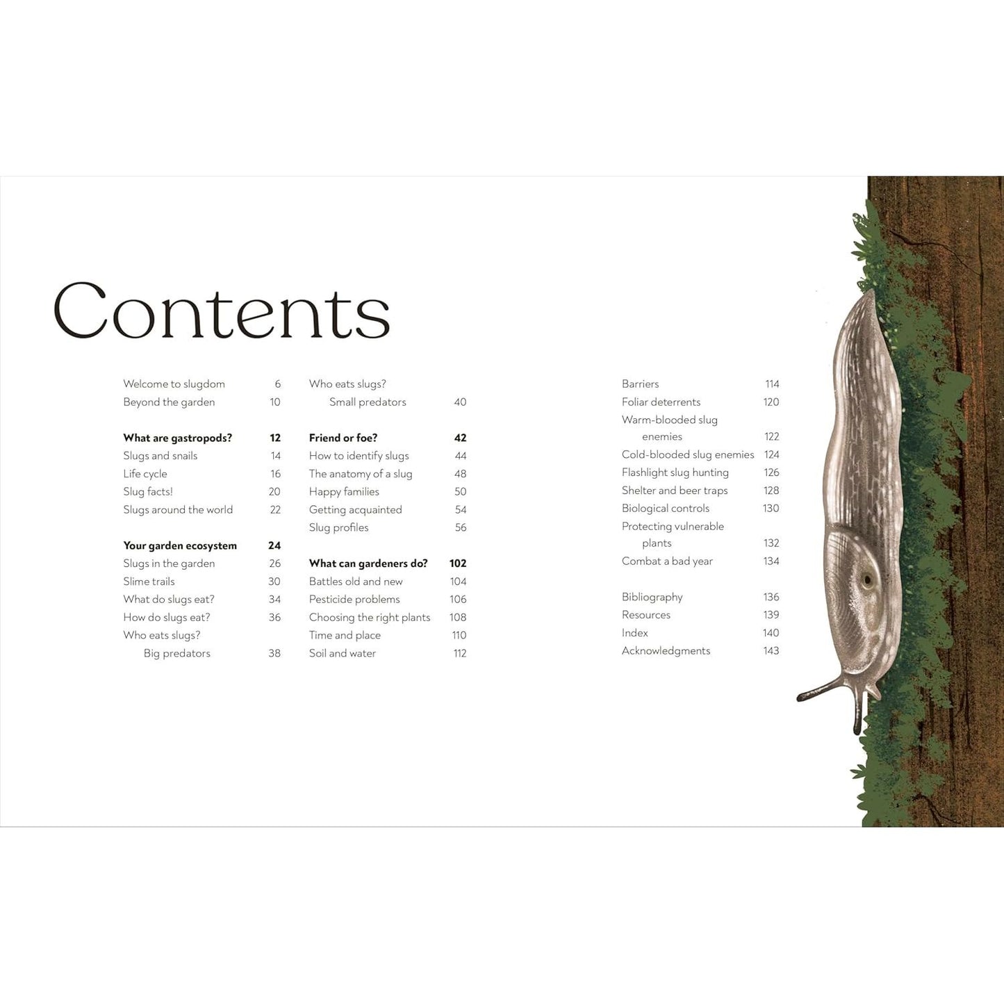 SLUGS: FRIEND OR FOE? BY DR. HAYLEY JONES (DK BOOK)