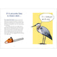 BIRD TALK: HILARIOUSLY ACCURATE WAYS TO IDENTIFY BIRDS BY THE SOUND THEY MAKE BY BECCA ROWLAND