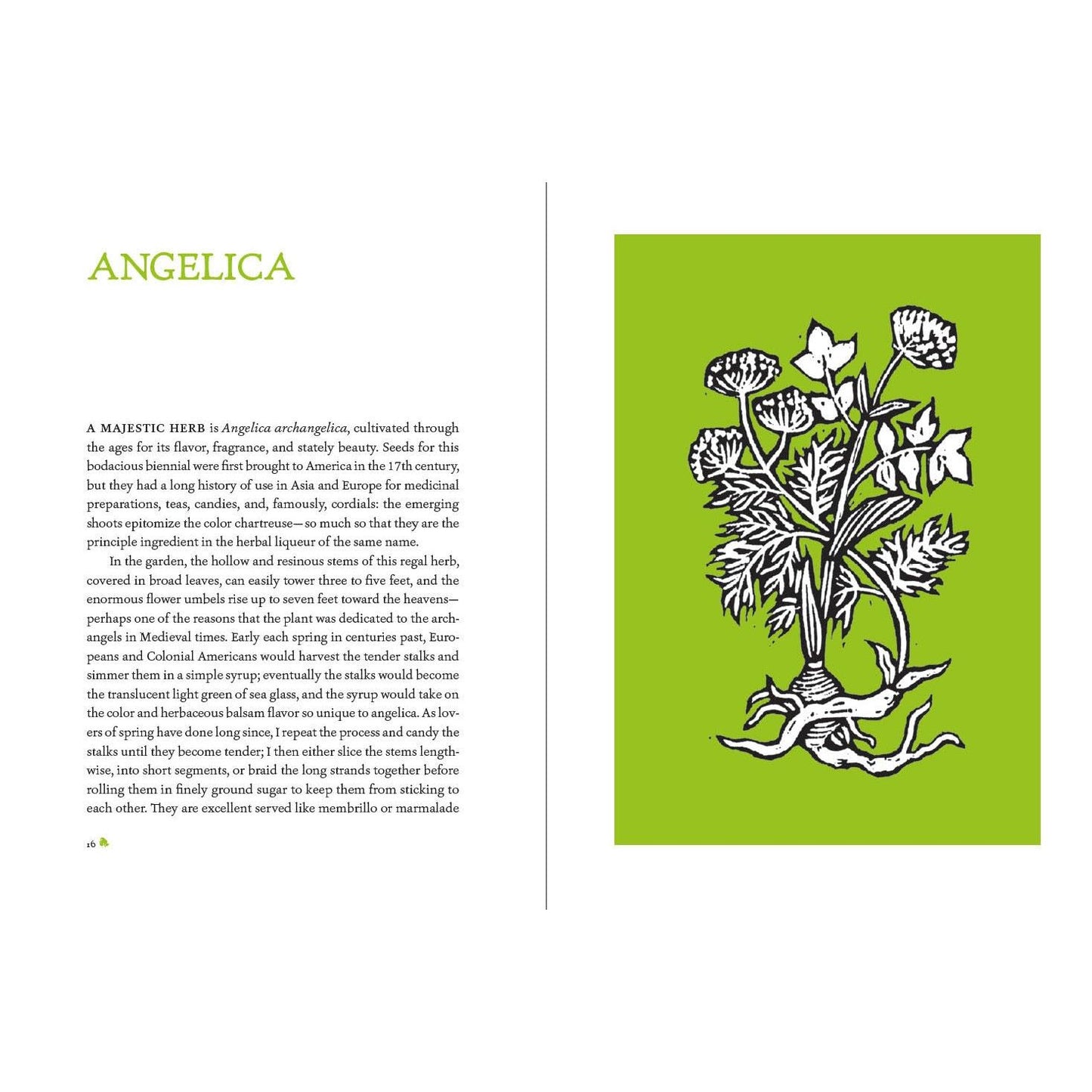 THE HEIRLOOM GARDENER: TRADITIONAL PLANTS & SKILLS FOR THE MODERN WORLD BY JOHN FORTI