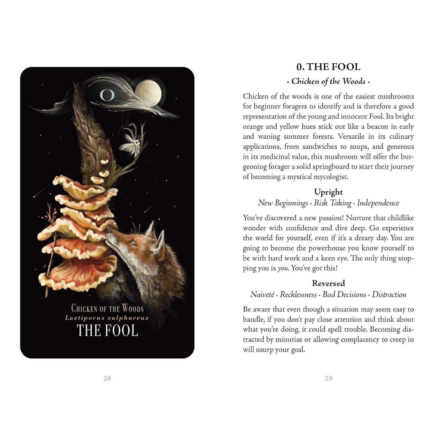MIDNIGHT MAGIC THE TAROT OF MUSHROOMS