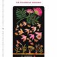 DIRT GEMS: PLANT ORACLE DECK AND GUIDEBOOK BY ANNE LOUISE BURDETTE, ILLUSTRATED BY CHELSEA GRANGER