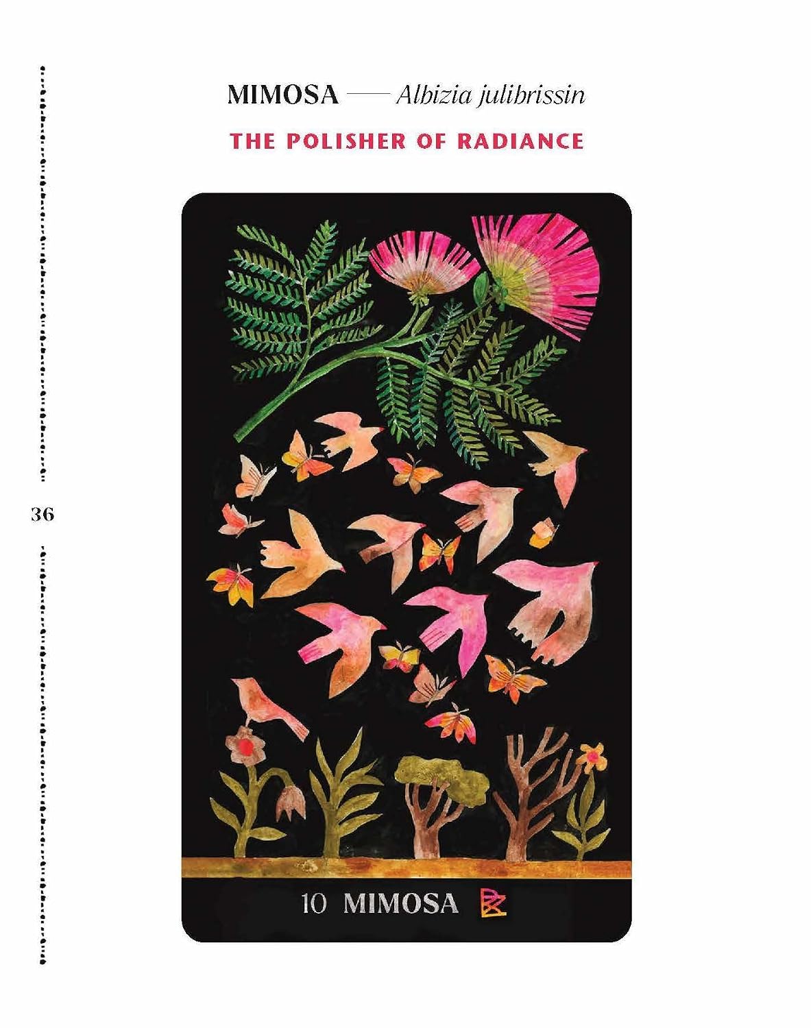 DIRT GEMS: PLANT ORACLE DECK AND GUIDEBOOK BY ANNE LOUISE BURDETTE, ILLUSTRATED BY CHELSEA GRANGER