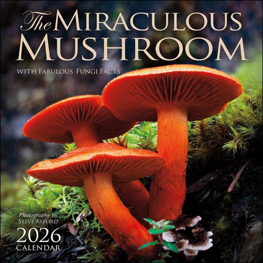 THE MIRACULOUS MUSHROOM WALL CALENDAR 2026