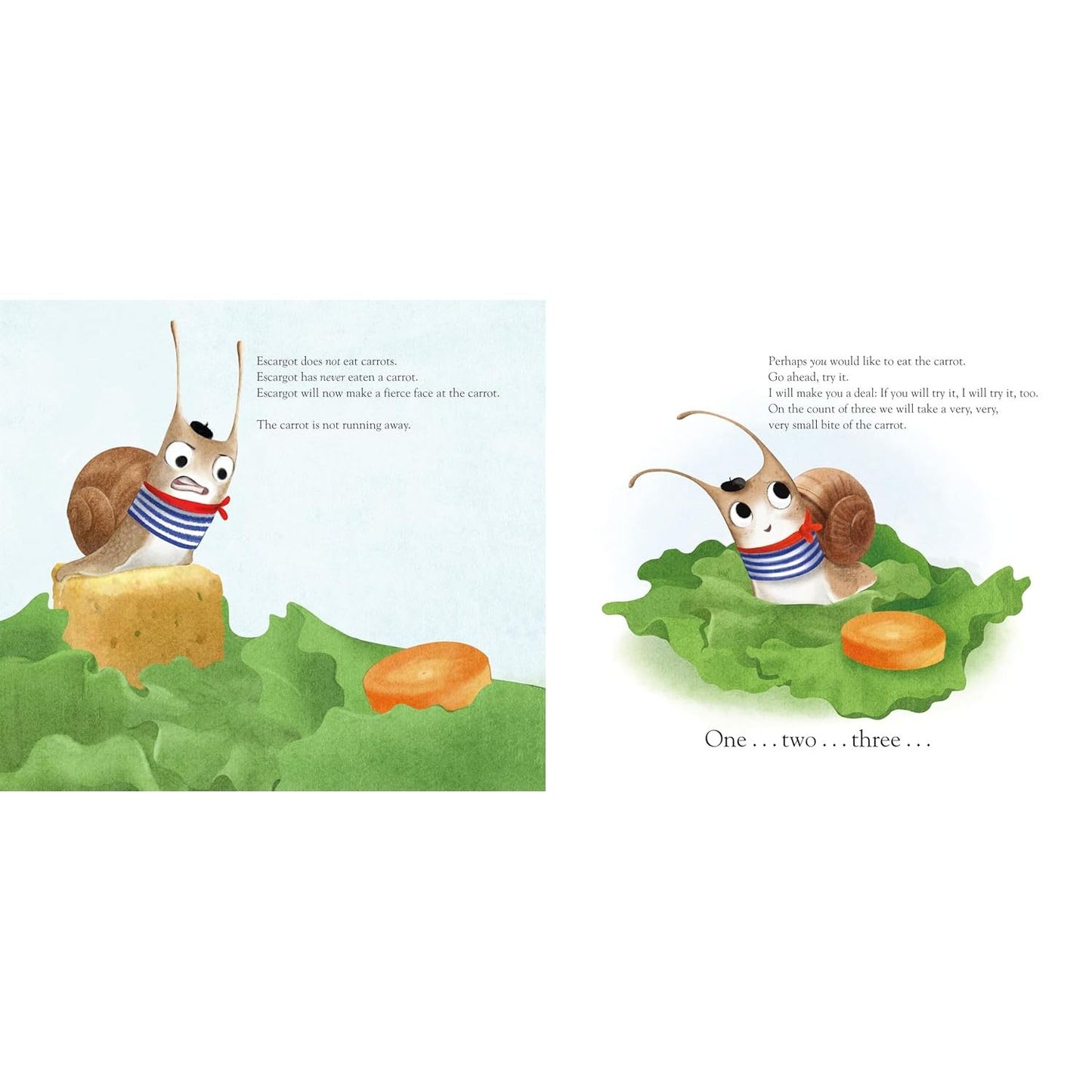 ESCARGOT BY DASHKA SLATER & ILLUSTRATED BY SYDNEY HANSON (BOARD BOOK)
