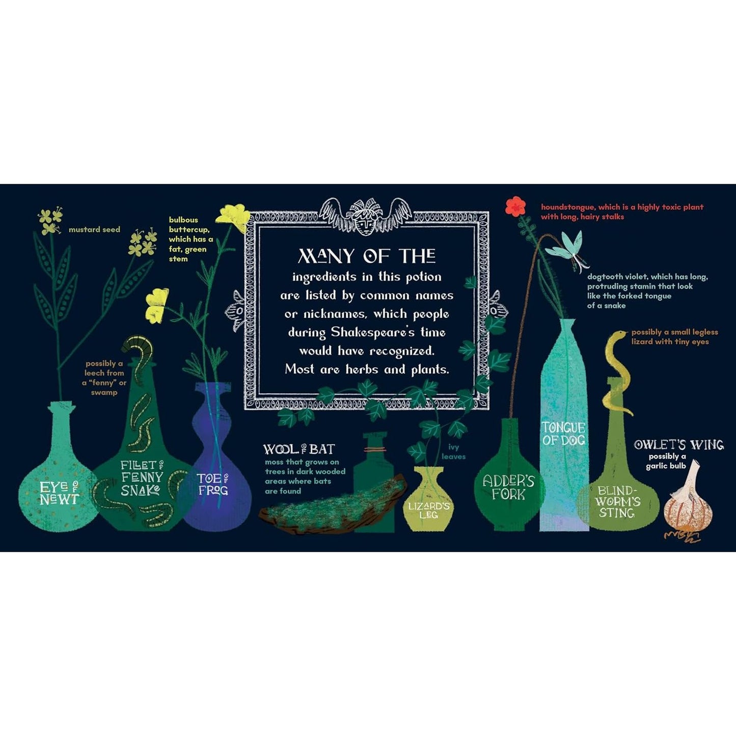 MACBETH: A POTION PRIMER BY JENNIFER ADAMS & ART BY ALISON OLIVER BOARD BOOK