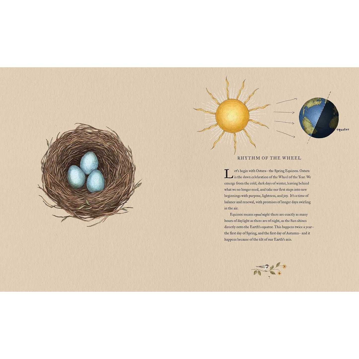 THE WHEEL OF THE YEAR: AN ILLUSTRATED GUIDE TO NATURE'S RYTHMS BY FIONA COOK AND JESSICA ROUX