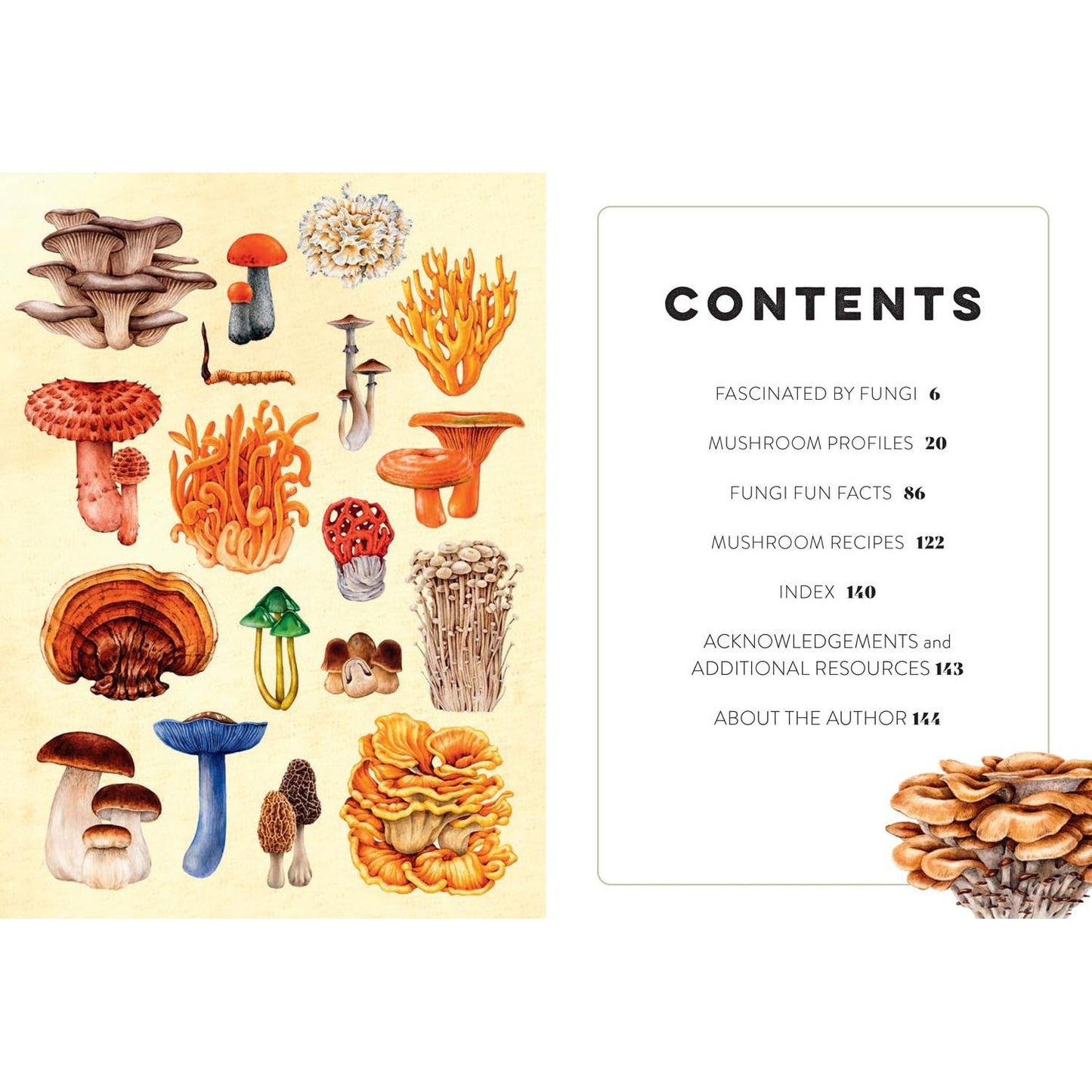 MUSHROOM MISCELLANY: AN ILLUSTRATED GUIDE BY ADELE NOZEDAR