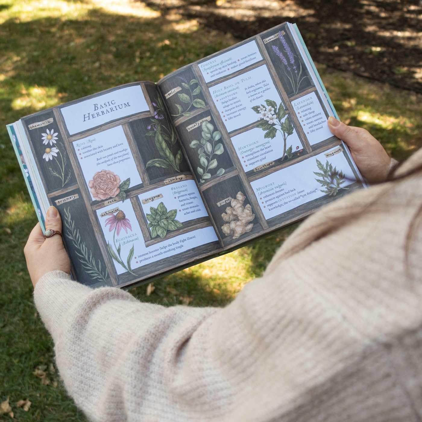 THE WHEEL OF THE YEAR: AN ILLUSTRATED GUIDE TO NATURE'S RYTHMS BY FIONA COOK AND JESSICA ROUX