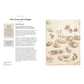 CATS IN ART: FROM PREHISTORIC TO NEO-POP MASTERPIECES BY ALIX PARE