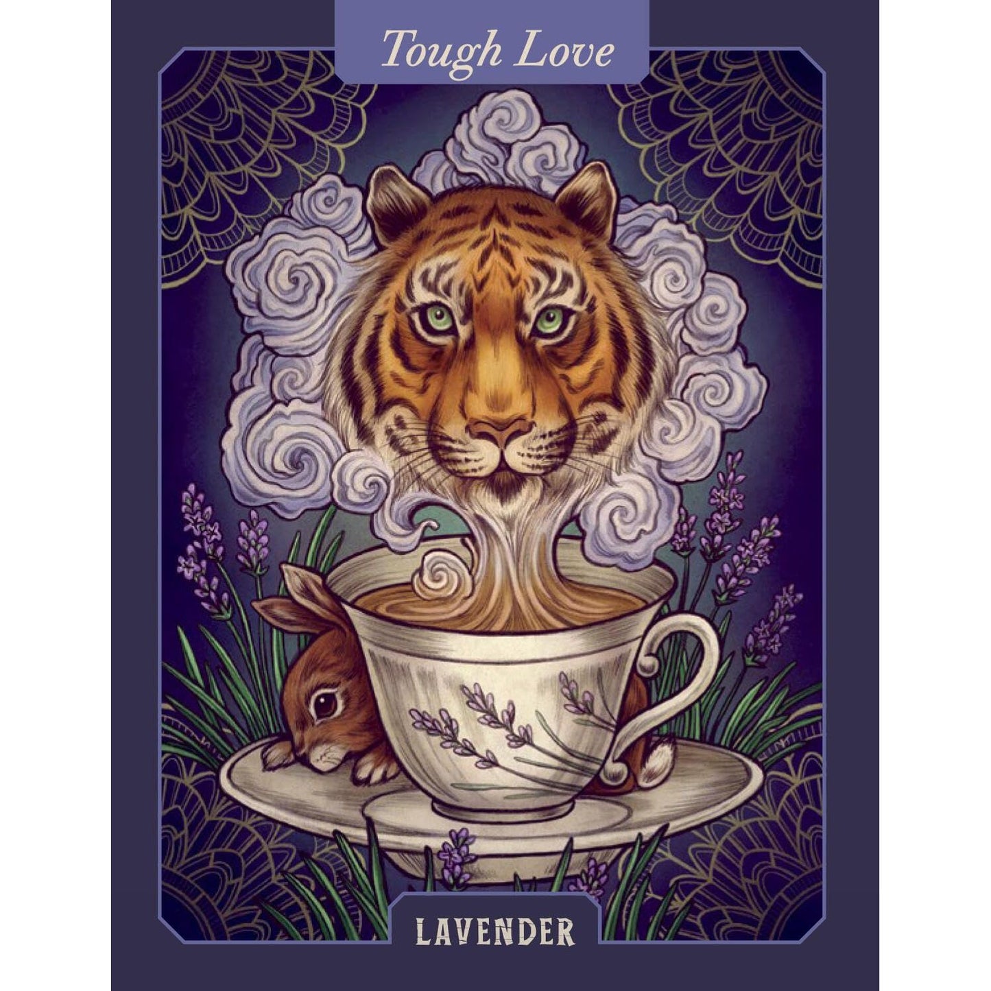 THE ILLUSTRATED HERBIARY ORACLE CARDS BY MAIA TOLL